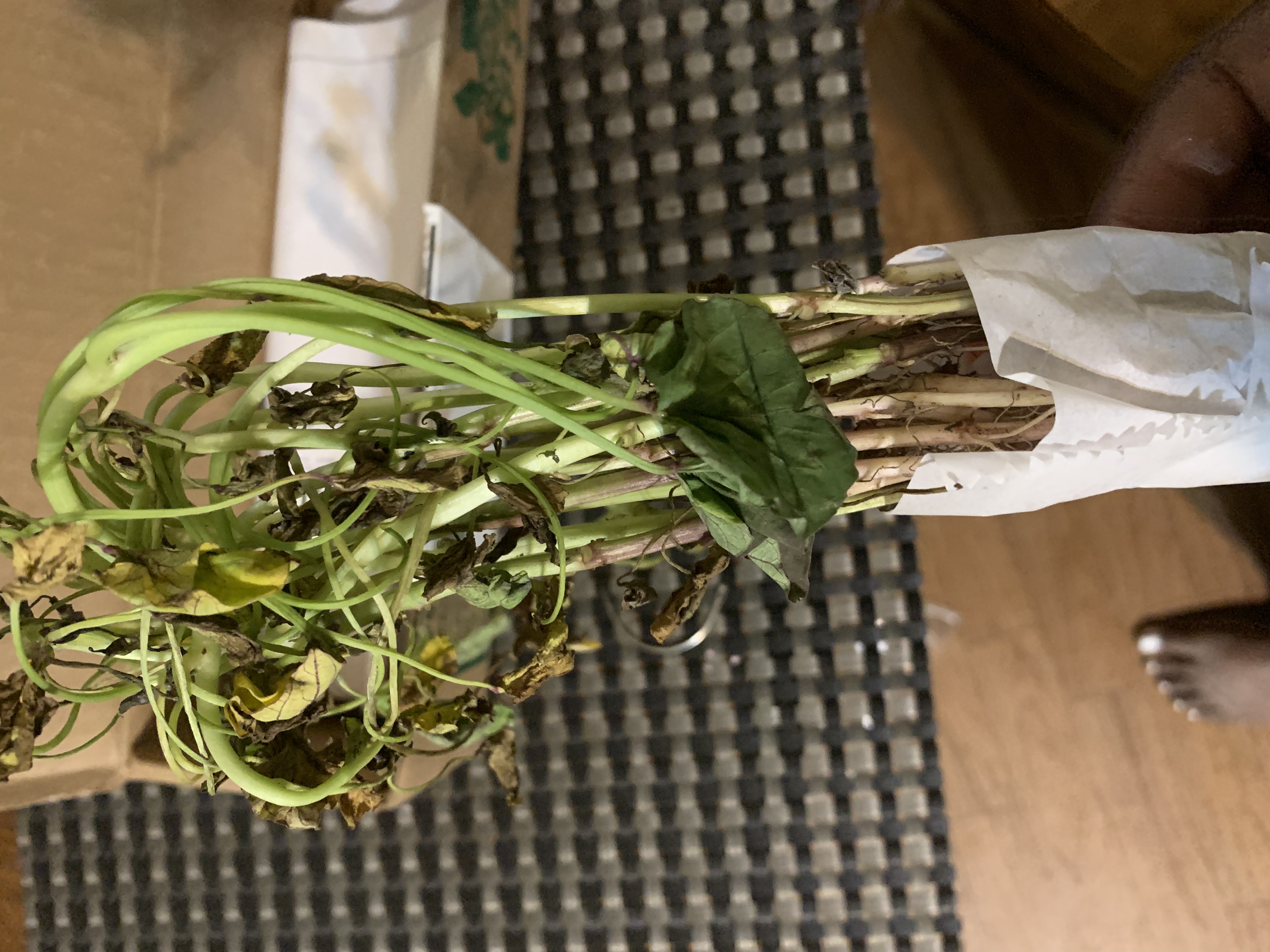 Gurney's Reviews 61 Reviews of Sitejabber