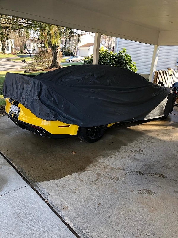 Seal Skin Covers Reviews 37,710 Reviews of