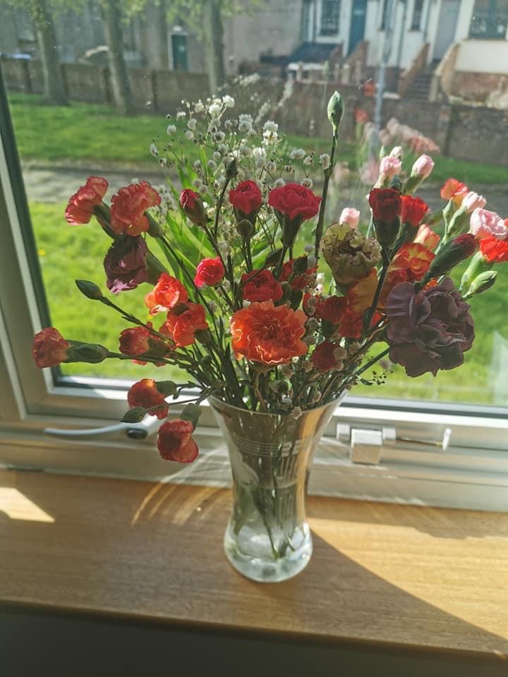 Lovely Flora World Reviews 371 Reviews of