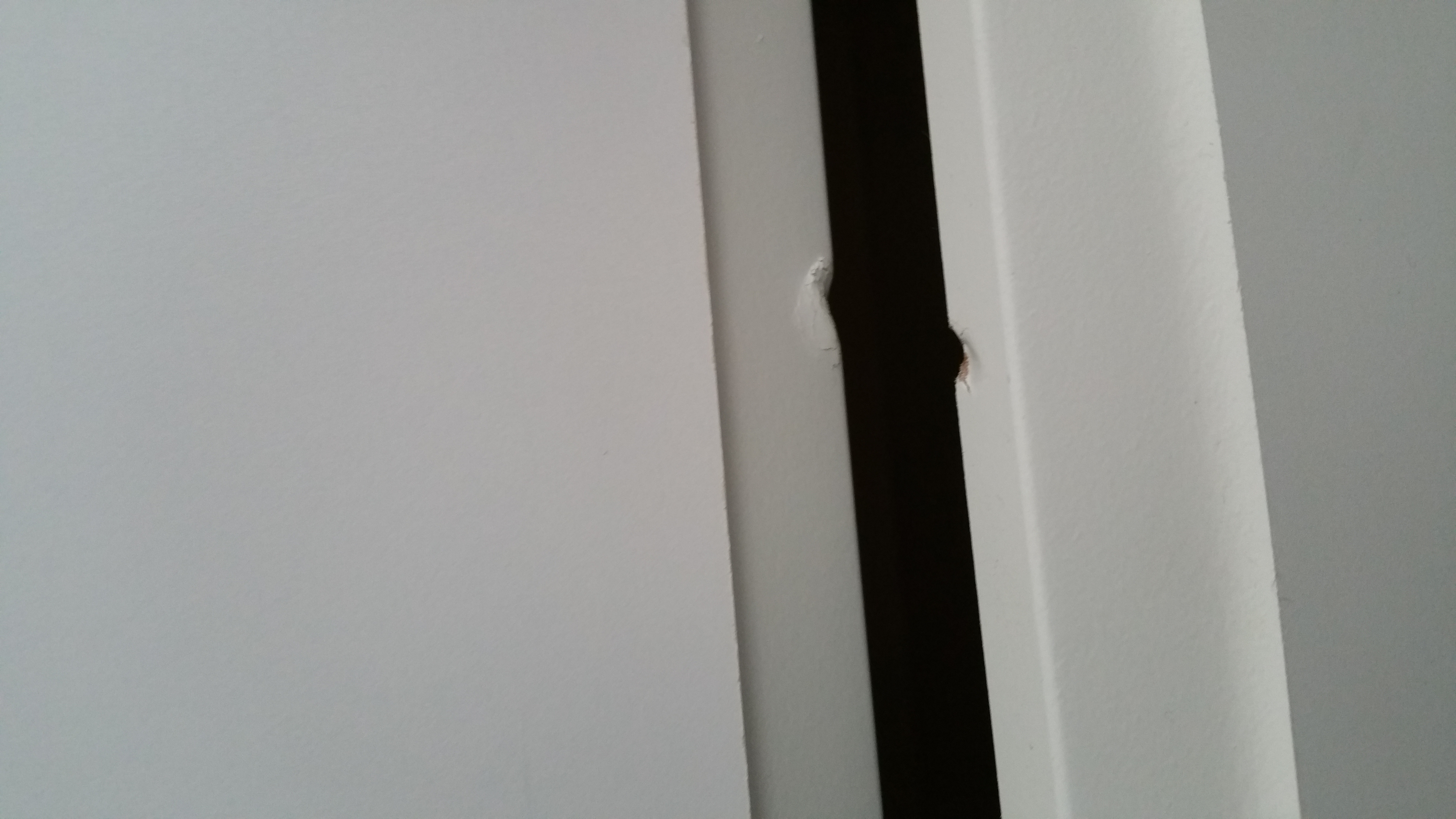 Joss & Main Reviews 1,280 Reviews of Sitejabber