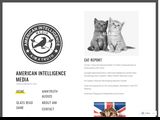 American Intelligence Media