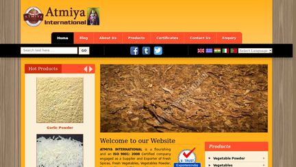 Atmiya International