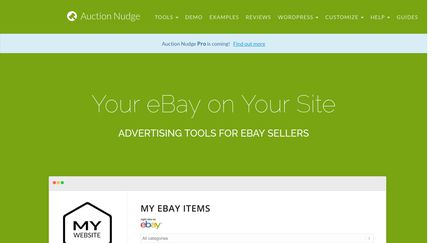 Auction Nudge