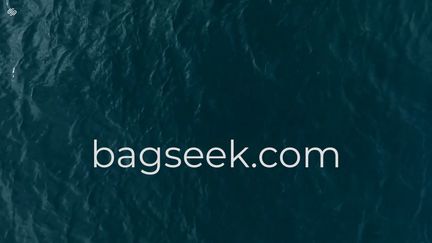 Bagseek