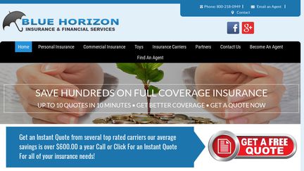 BlueHorizonInsuranceandFinancialServices