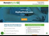 Bigbigwatch