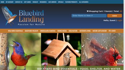 BluebirdLanding