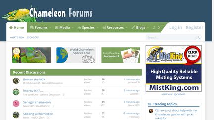 Chameleon Forums