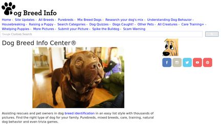 DogBreedInfo