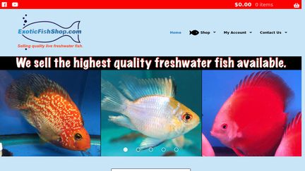 ExoticFishShop.net
