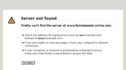 Femaleseeds-online.com