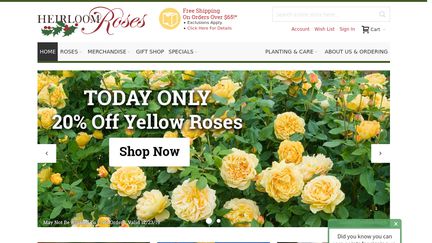 Heirloom Roses