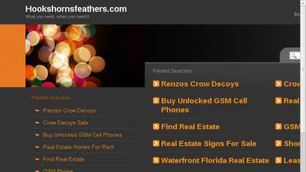 Hookshornsfeathers.com
