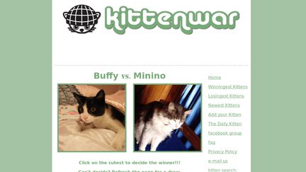 Kittenwar