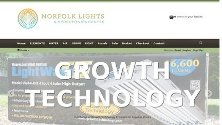 Norfolk Lights