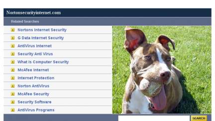 Nortonsecurityinternet.com