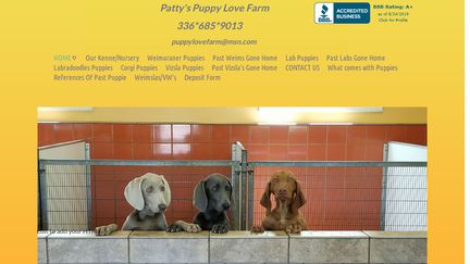 Pattyspuppylovefarm.com