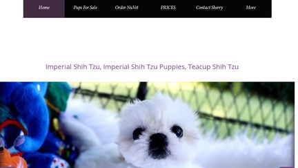ShihtzusForever