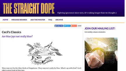 The Straight Dope