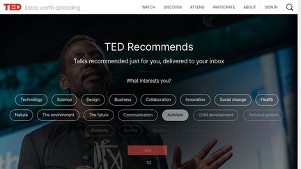 TED