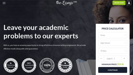 The-Essays.Com