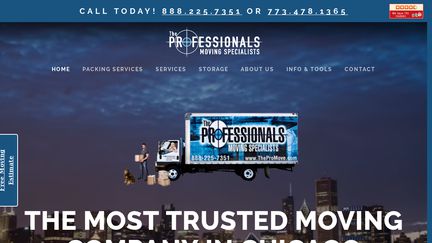 The Professionals Moving Specialists
