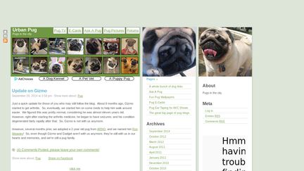 Urbanpug.com